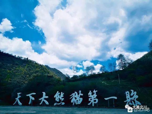 短短10年间,南非从巅峰彻底跌落,看下曼德拉到底干了什么?